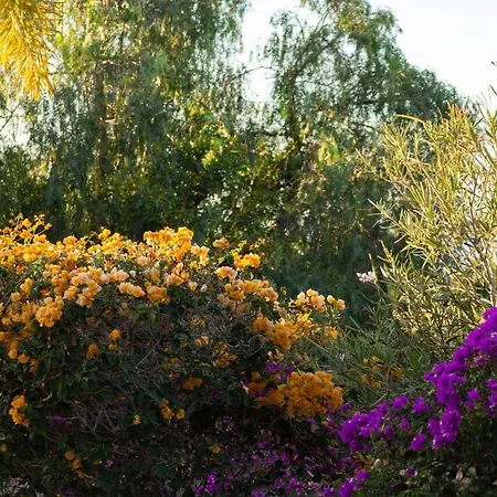 Casa Leon 4* Maspalomas (Gran Canaria)